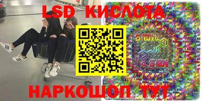 гидра Будённовск