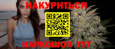 гидра Будённовск