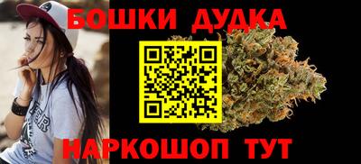 гидра Будённовск