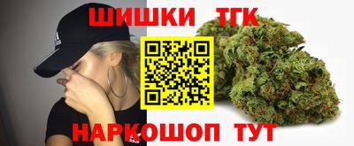 гидра Будённовск