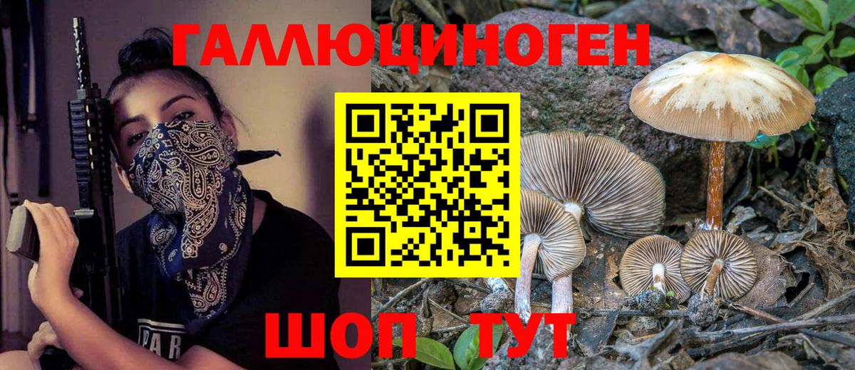 Орехово-Зуево  Галлюциногенные грибы MAGIC MUSHROOMS  Вход с VPN 