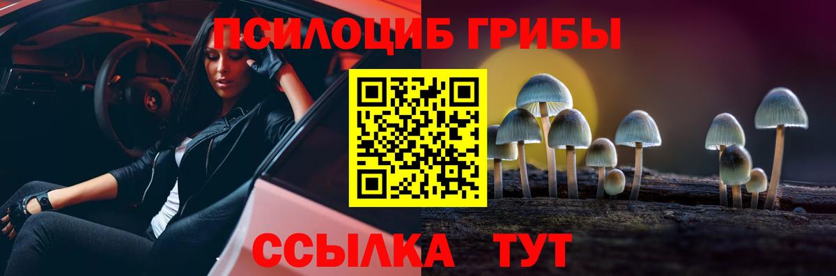 Псилоцибиновые грибы GOLDEN TEACHER Орехово-Зуево